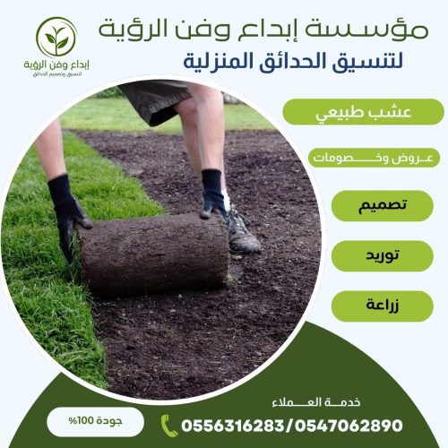 تنسيق حدائق الرياض فن وابداع الرؤيا (1)